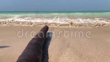 泰国海滩海浪<strong>撞击</strong>棕榈树<strong>树干</strong>